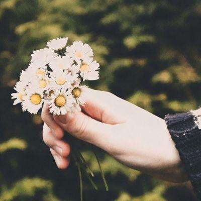 疯狂的动物骑摩托